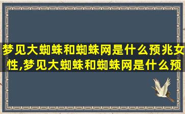梦见大蜘蛛和蜘蛛网是什么预兆女性,梦见大蜘蛛和蜘蛛网是什么预兆女性周公 🌾 解梦